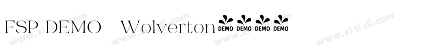 FSP DEMO   Wolverton字体转换